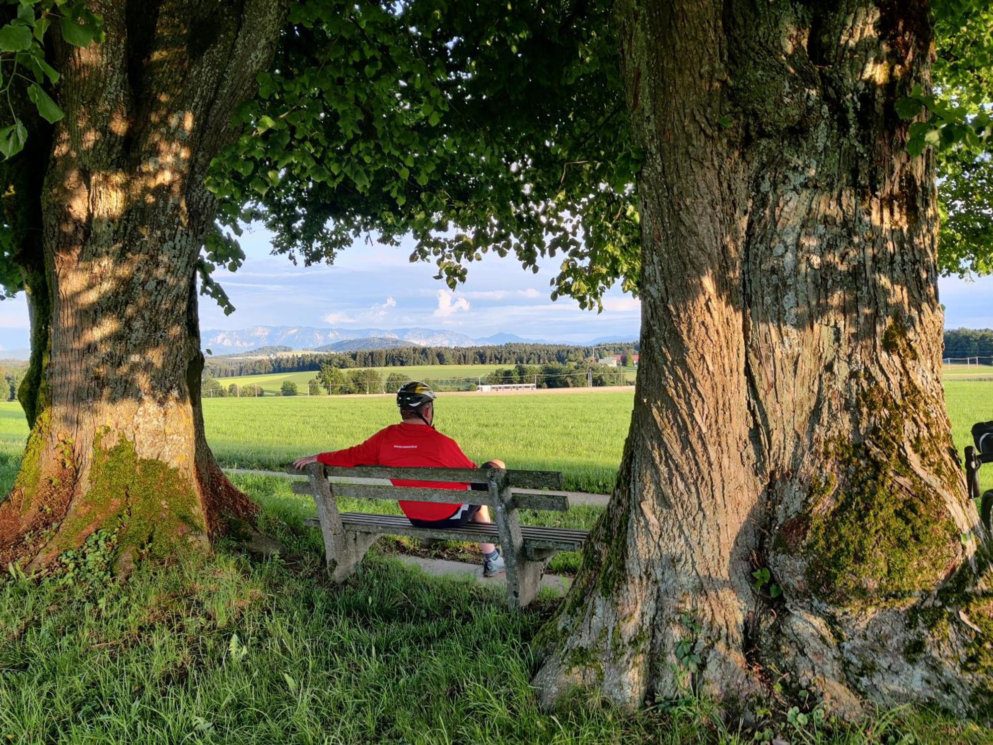 Pension Holzapfel Sankt Georgen im Attergau Buitenkant foto