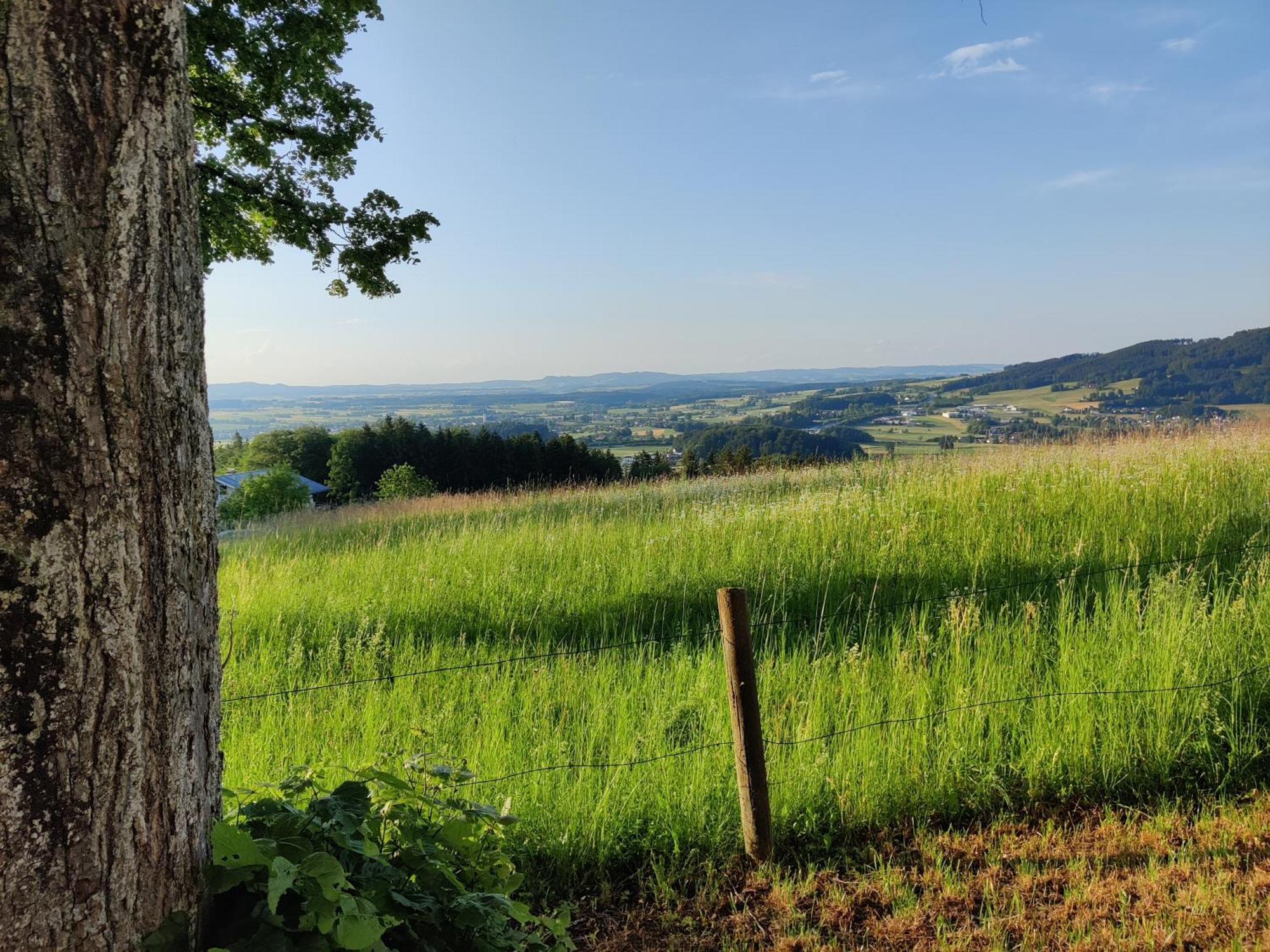 Pension Holzapfel Sankt Georgen im Attergau Buitenkant foto